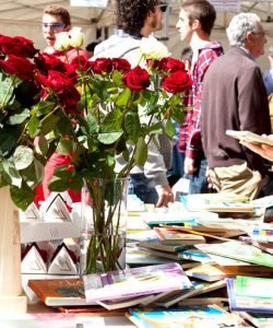 Lee más sobre el artículo Estos han sido los libros más vendidos en Sant Jordi 2023